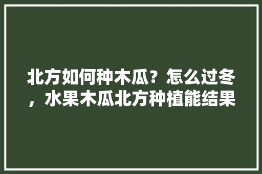 北方如何种木瓜？怎么过冬，水果木瓜北方种植能结果吗。 北方如何种木瓜？怎么过冬，水果木瓜北方种植能结果吗。 水果种植