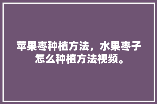 苹果枣种植方法，水果枣子怎么种植方法视频。 苹果枣种植方法，水果枣子怎么种植方法视频。 土壤施肥