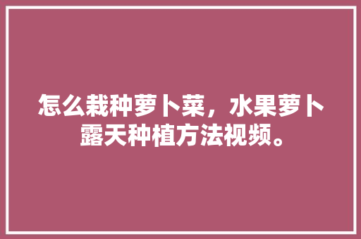 怎么栽种萝卜菜，水果萝卜露天种植方法视频。 怎么栽种萝卜菜，水果萝卜露天种植方法视频。 畜牧养殖