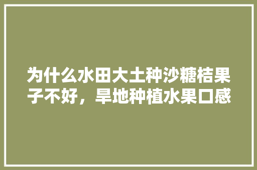 为什么水田大土种沙糖桔果子不好，旱地种植水果口感如何描述。 为什么水田大土种沙糖桔果子不好，旱地种植水果口感如何描述。 土壤施肥