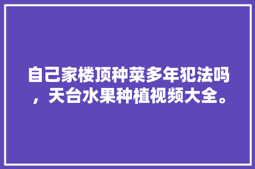 自己家楼顶种菜多年犯法吗，天台水果种植视频大全。 自己家楼顶种菜多年犯法吗，天台水果种植视频大全。 水果种植