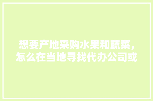 想要产地采购水果和蔬菜，怎么在当地寻找代办公司或者个人呢，怎么找水果种植户呢。 想要产地采购水果和蔬菜，怎么在当地寻找代办公司或者个人呢，怎么找水果种植户呢。 水果种植