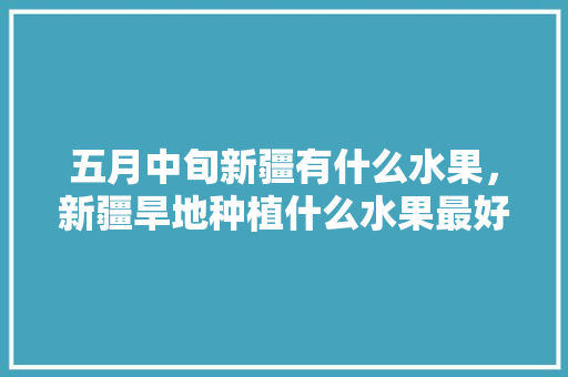 五月中旬新疆有什么水果，新疆旱地种植什么水果最好。 五月中旬新疆有什么水果，新疆旱地种植什么水果最好。 水果种植