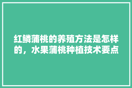 红鳞蒲桃的养殖方法是怎样的，水果蒲桃种植技术要点有哪些。 红鳞蒲桃的养殖方法是怎样的，水果蒲桃种植技术要点有哪些。 土壤施肥