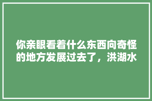 你亲眼看着什么东西向奇怪的地方发展过去了，洪湖水果种植基地。 你亲眼看着什么东西向奇怪的地方发展过去了，洪湖水果种植基地。 水果种植