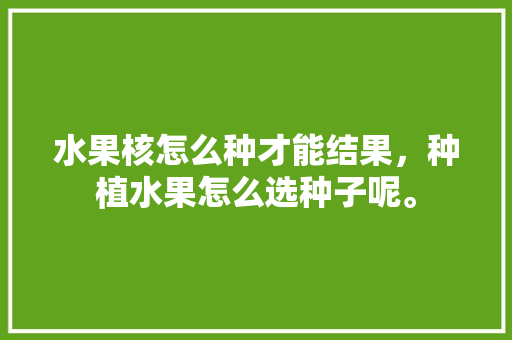 水果核怎么种才能结果，种植水果怎么选种子呢。 水果核怎么种才能结果，种植水果怎么选种子呢。 蔬菜种植