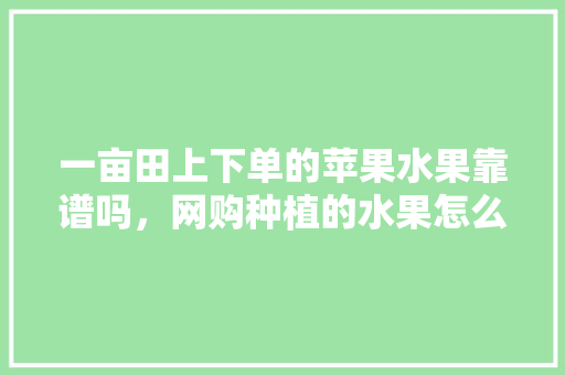 一亩田上下单的苹果水果靠谱吗，网购种植的水果怎么处理。 一亩田上下单的苹果水果靠谱吗，网购种植的水果怎么处理。 蔬菜种植