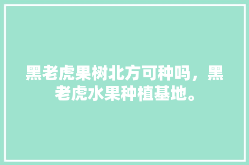 黑老虎果树北方可种吗，黑老虎水果种植基地。 黑老虎果树北方可种吗，黑老虎水果种植基地。 家禽养殖