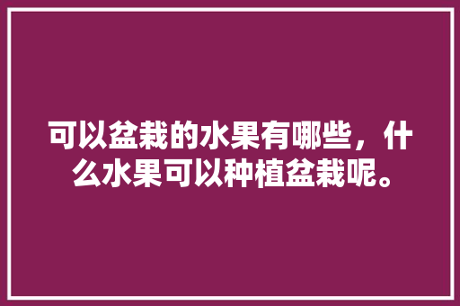 可以盆栽的水果有哪些，什么水果可以种植盆栽呢。 可以盆栽的水果有哪些，什么水果可以种植盆栽呢。 水果种植