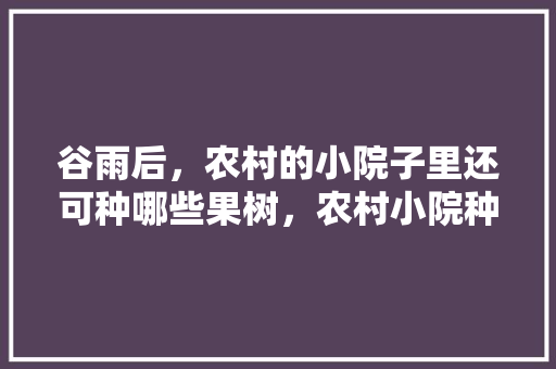 谷雨后，农村的小院子里还可种哪些果树，农村小院种什么果树最好。 谷雨后，农村的小院子里还可种哪些果树，农村小院种什么果树最好。 水果种植