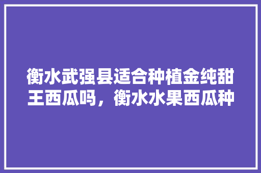 衡水武强县适合种植金纯甜王西瓜吗，衡水水果西瓜种植基地在哪里。 衡水武强县适合种植金纯甜王西瓜吗，衡水水果西瓜种植基地在哪里。 水果种植