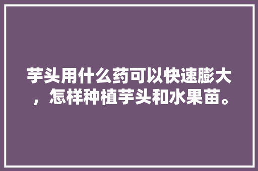 芋头用什么药可以快速膨大，怎样种植芋头和水果苗。 芋头用什么药可以快速膨大，怎样种植芋头和水果苗。 土壤施肥