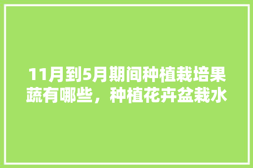 11月到5月期间种植栽培果蔬有哪些，种植花卉盆栽水果有哪些。 11月到5月期间种植栽培果蔬有哪些，种植花卉盆栽水果有哪些。 家禽养殖