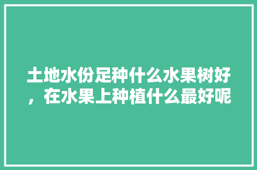 土地水份足种什么水果树好，在水果上种植什么最好呢。 土地水份足种什么水果树好，在水果上种植什么最好呢。 蔬菜种植