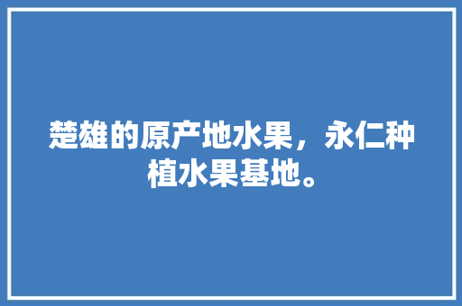 楚雄的原产地水果，永仁种植水果基地。 楚雄的原产地水果，永仁种植水果基地。 蔬菜种植