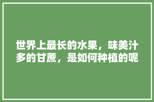 世界上最长的水果，味美汁多的甘蔗，是如何种植的呢，水果甘庶种植技术视频。 世界上最长的水果，味美汁多的甘蔗，是如何种植的呢，水果甘庶种植技术视频。 土壤施肥