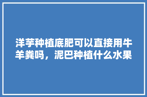 洋芋种植底肥可以直接用牛羊粪吗，泥巴种植什么水果最好吃。 洋芋种植底肥可以直接用牛羊粪吗，泥巴种植什么水果最好吃。 畜牧养殖