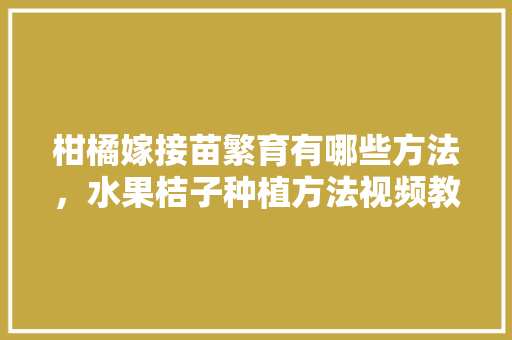 柑橘嫁接苗繁育有哪些方法，水果桔子种植方法视频教程。 柑橘嫁接苗繁育有哪些方法，水果桔子种植方法视频教程。 家禽养殖