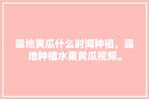 露地黄瓜什么时间种植，露地种植水果黄瓜视频。 露地黄瓜什么时间种植，露地种植水果黄瓜视频。 家禽养殖