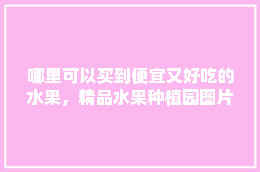 哪里可以买到便宜又好吃的水果，精品水果种植园图片。 哪里可以买到便宜又好吃的水果，精品水果种植园图片。 蔬菜种植