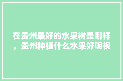 在贵州最好的水果树是哪样，贵州种植什么水果好呢视频。 在贵州最好的水果树是哪样，贵州种植什么水果好呢视频。 畜牧养殖