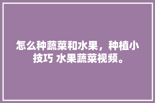 怎么种蔬菜和水果，种植小技巧 水果蔬菜视频。 怎么种蔬菜和水果，种植小技巧 水果蔬菜视频。 土壤施肥