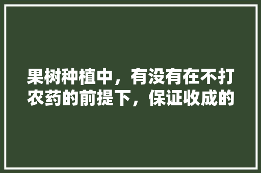 果树种植中，有没有在不打农药的前提下，保证收成的方法，怎么防止种植水果被偷呢。 果树种植中，有没有在不打农药的前提下，保证收成的方法，怎么防止种植水果被偷呢。 土壤施肥