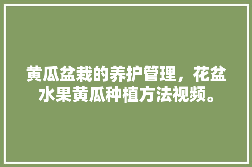 黄瓜盆栽的养护管理，花盆水果黄瓜种植方法视频。 黄瓜盆栽的养护管理，花盆水果黄瓜种植方法视频。 畜牧养殖