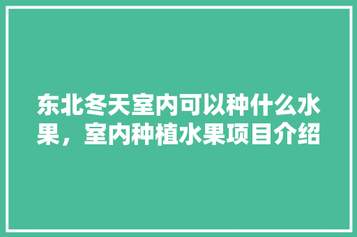 东北冬天室内可以种什么水果，室内种植水果项目介绍怎么写。 东北冬天室内可以种什么水果，室内种植水果项目介绍怎么写。 水果种植