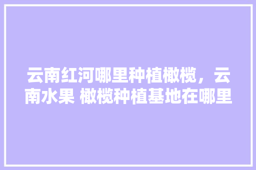 云南红河哪里种植橄榄，云南水果 橄榄种植基地在哪里。 云南红河哪里种植橄榄，云南水果 橄榄种植基地在哪里。 家禽养殖