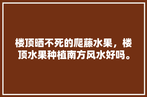 楼顶晒不死的爬藤水果，楼顶水果种植南方风水好吗。 楼顶晒不死的爬藤水果，楼顶水果种植南方风水好吗。 家禽养殖