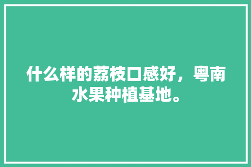 什么样的荔枝口感好，粤南水果种植基地。 什么样的荔枝口感好，粤南水果种植基地。 水果种植