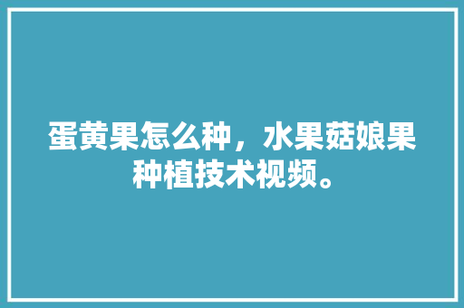 蛋黄果怎么种，水果菇娘果种植技术视频。 蛋黄果怎么种，水果菇娘果种植技术视频。 蔬菜种植