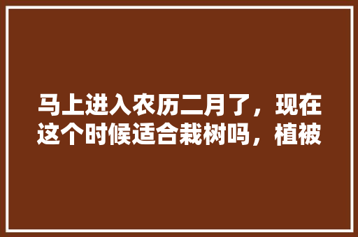 马上进入农历二月了，现在这个时候适合栽树吗，植被水果种植方法。 马上进入农历二月了，现在这个时候适合栽树吗，植被水果种植方法。 畜牧养殖