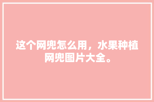 这个网兜怎么用，水果种植网兜图片大全。 这个网兜怎么用，水果种植网兜图片大全。 畜牧养殖