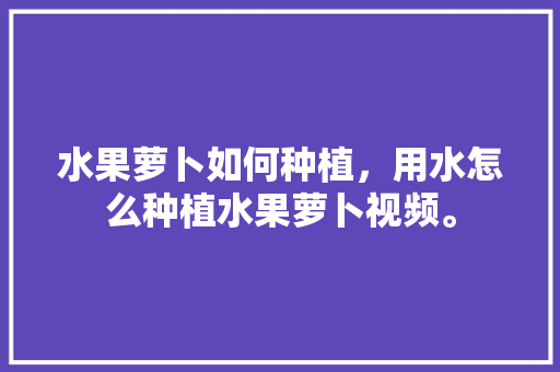 水果萝卜如何种植，用水怎么种植水果萝卜视频。 水果萝卜如何种植，用水怎么种植水果萝卜视频。 水果种植