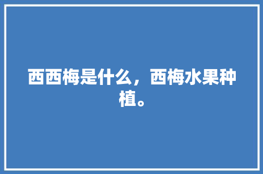 西西梅是什么，西梅水果种植。 西西梅是什么，西梅水果种植。 土壤施肥