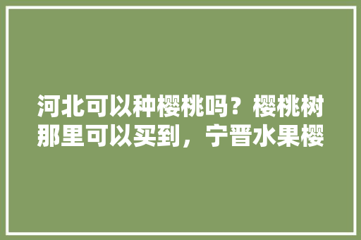 河北可以种樱桃吗？樱桃树那里可以买到，宁晋水果樱桃种植基地地址。 河北可以种樱桃吗？樱桃树那里可以买到，宁晋水果樱桃种植基地地址。 畜牧养殖