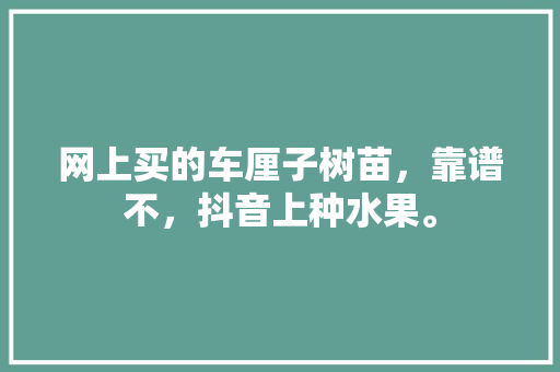 网上买的车厘子树苗，靠谱不，抖音上种水果。 网上买的车厘子树苗，靠谱不，抖音上种水果。 家禽养殖