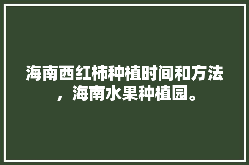 海南西红柿种植时间和方法，海南水果种植园。 海南西红柿种植时间和方法，海南水果种植园。 水果种植