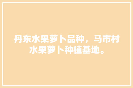 丹东水果萝卜品种，马市村水果萝卜种植基地。 丹东水果萝卜品种，马市村水果萝卜种植基地。 家禽养殖