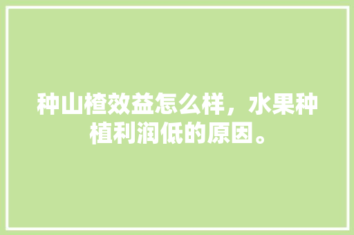 种山楂效益怎么样，水果种植利润低的原因。 种山楂效益怎么样，水果种植利润低的原因。 水果种植