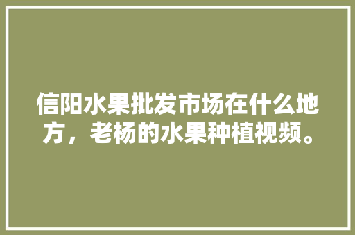 信阳水果批发市场在什么地方，老杨的水果种植视频。 信阳水果批发市场在什么地方，老杨的水果种植视频。 畜牧养殖