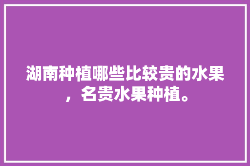 湖南种植哪些比较贵的水果，名贵水果种植。 湖南种植哪些比较贵的水果，名贵水果种植。 蔬菜种植