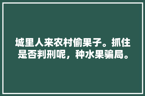 城里人来农村偷果子。抓住是否判刑呢，种水果骗局。 城里人来农村偷果子。抓住是否判刑呢，种水果骗局。 土壤施肥