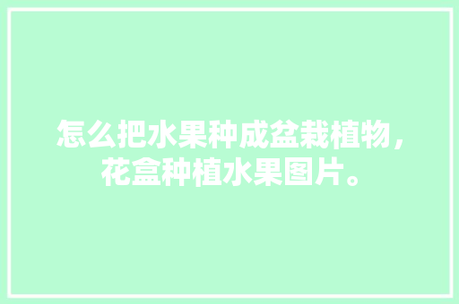 怎么把水果种成盆栽植物，花盒种植水果图片。 怎么把水果种成盆栽植物，花盒种植水果图片。 畜牧养殖