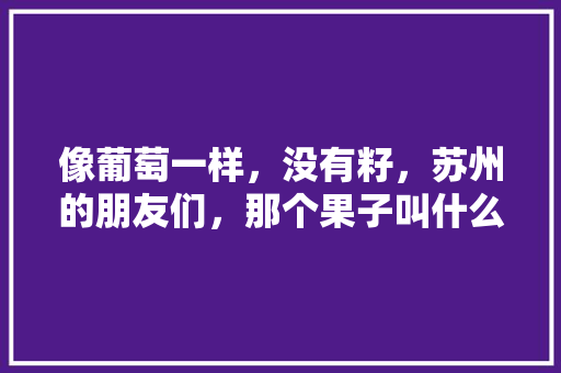 像葡萄一样，没有籽，苏州的朋友们，那个果子叫什么阿，在家种植变异水果可以吗。 像葡萄一样，没有籽，苏州的朋友们，那个果子叫什么阿，在家种植变异水果可以吗。 土壤施肥