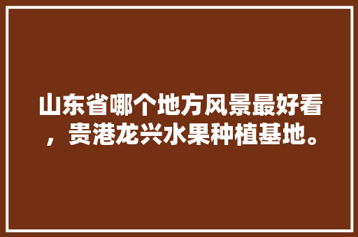 山东省哪个地方风景最好看，贵港龙兴水果种植基地。 山东省哪个地方风景最好看，贵港龙兴水果种植基地。 畜牧养殖