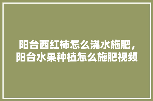 阳台西红柿怎么浇水施肥，阳台水果种植怎么施肥视频。 阳台西红柿怎么浇水施肥，阳台水果种植怎么施肥视频。 蔬菜种植