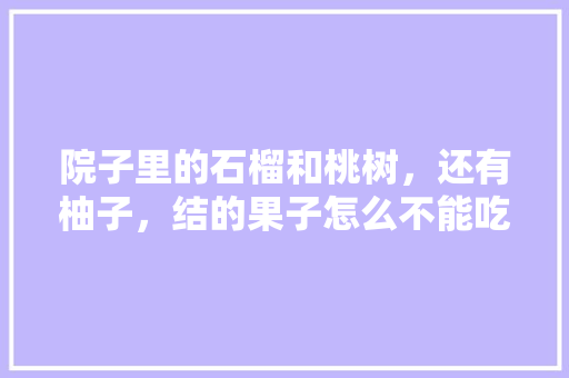 院子里的石榴和桃树，还有柚子，结的果子怎么不能吃呀？有说，这些树要经过嫁接吗，什么水果中国无法种植的。 院子里的石榴和桃树，还有柚子，结的果子怎么不能吃呀？有说，这些树要经过嫁接吗，什么水果中国无法种植的。 水果种植